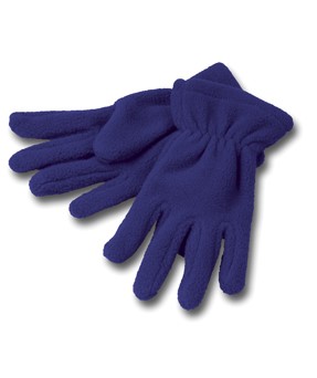 FLEECE GLOVES - Alcester NSC