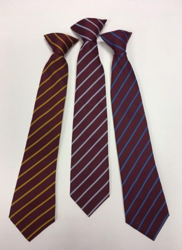 Salford Priors Primary School - SALFORD PRIORS HOUSE TIE, Salford Priors Primary School