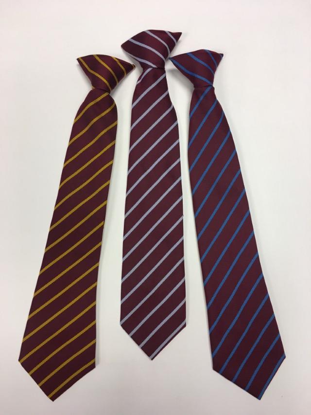 Salford Priors Primary School - SALFORD PRIORS HOUSE TIE, Salford Priors Primary School