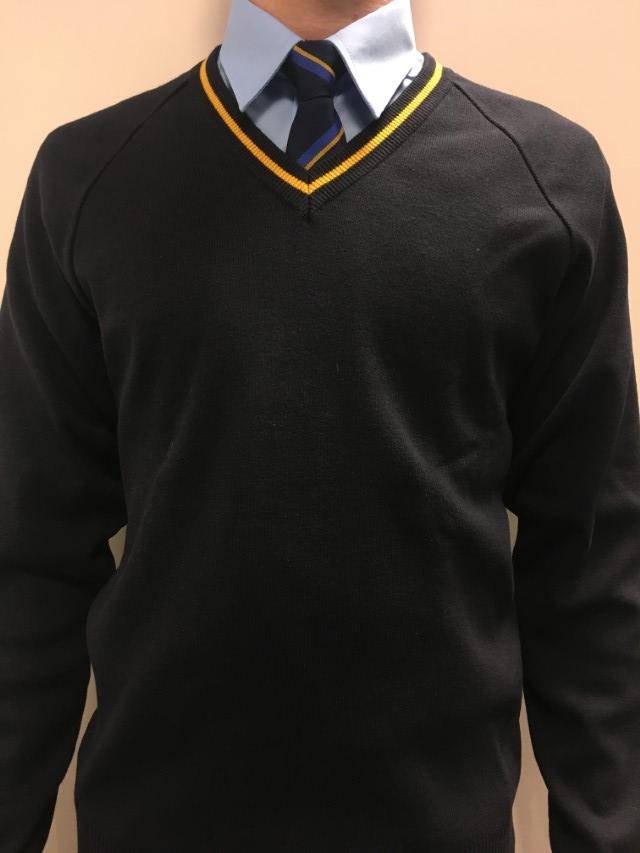 Henley In Arden School - NEW HENLEY V NECK, Henley In Arden School